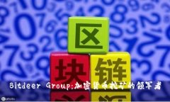 Bitdeer Group：加密货币挖矿