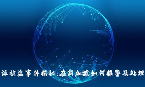 比特派被盗事件揭秘：在新加坡如何报警及处理步骤