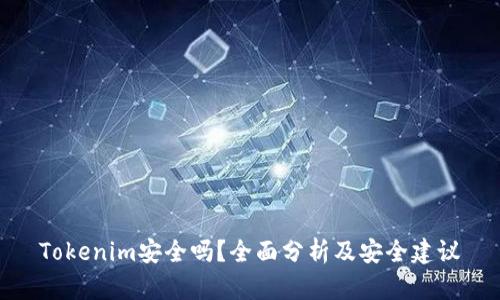 Tokenim安全吗？全面分析及安全建议
