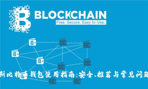 俄罗斯比特币钱包使用指南：安全、推荐与常见问题解答