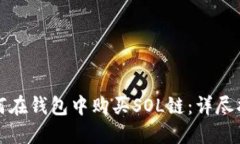 如何在钱包中购买SOL链：