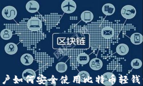 
苹果手机用户如何安全使用比特币轻钱包：全面指南