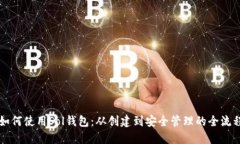 详解如何使用Sol钱包：从
