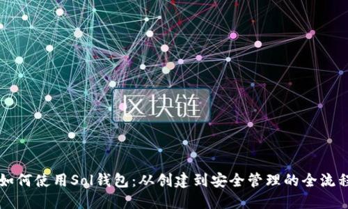 详解如何使用Sol钱包：从创建到安全管理的全流程指南