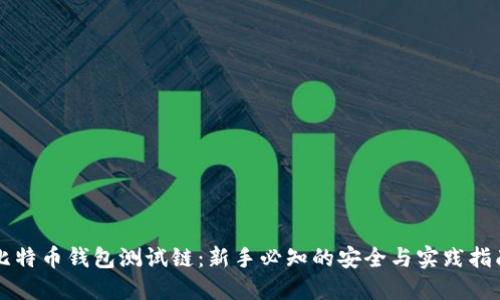 比特币钱包测试链：新手必知的安全与实践指南