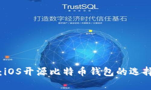 全方位解析：iOS开源比特币钱包的选择与使用指南