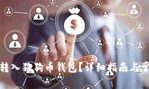 如何将货币转入狗狗币钱包？详细指南与常见问题解答