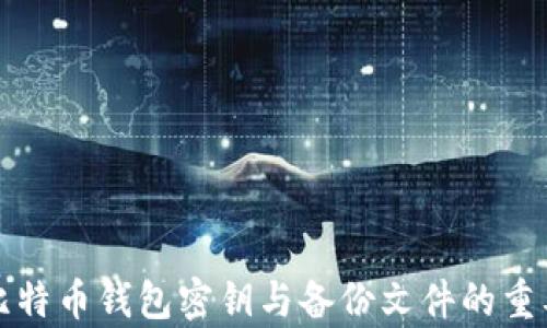 
全面解析比特币钱包密钥与备份文件的重要性与管理
