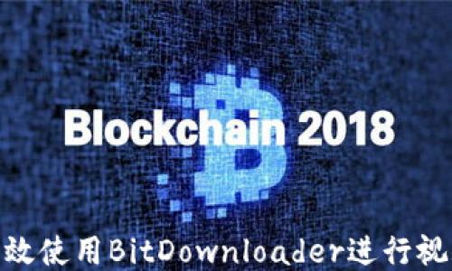 
 如何高效使用BitDownloader进行视频下载 