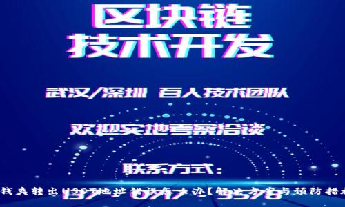  钱夹转出USDT地址错误怎么办？解决方案与预防措施