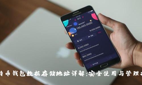 比特币钱包数据存储地址详解：安全使用与管理指南