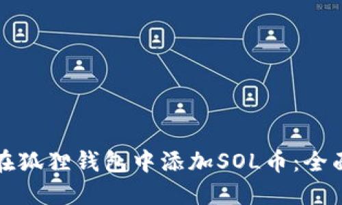 如何在狐狸钱包中添加SOL币：全面指南