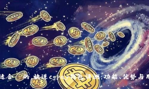 思考一个且适合  的，放进cgpay钱包评测：功能、优势与用户体验一览