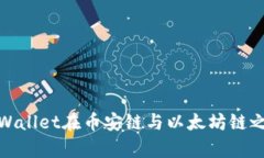 如何使用tpWallet在币安链与
