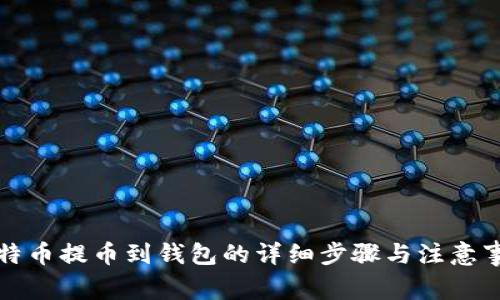 比特币提币到钱包的详细步骤与注意事项