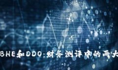 深入解析BHE和DDO：财务测评中的两大重要指标