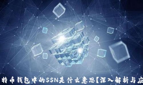 
比特币钱包中的SSN是什么意思？深入解析与应用