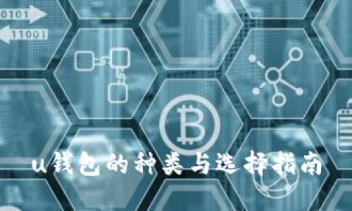 u钱包的种类与选择指南