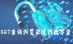 如何使用USDT查询浏览器进