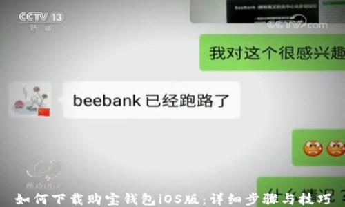 
如何下载购宝钱包iOS版：详细步骤与技巧