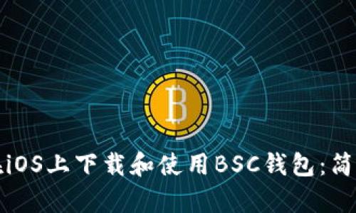 如何在iOS上下载和使用BSC钱包：简单指南