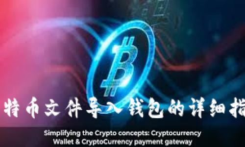 比特币文件导入钱包的详细指南