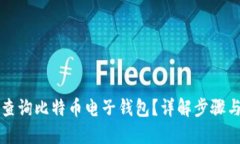 如何查询比特币电子钱包