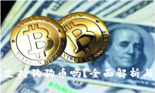 小狐钱包支持狗狗币吗？全面解析与使用指南