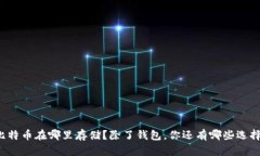 比特币在哪里存储？除了