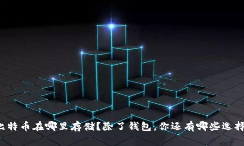 比特币在哪里存储？除了钱包，你还有哪些选择？