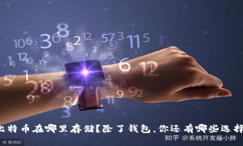 比特币在哪里存储？除了钱包，你还有哪些选择？