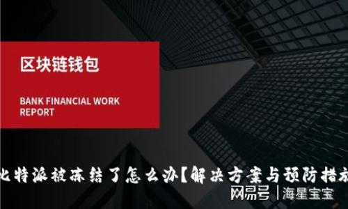 比特派被冻结了怎么办？解决方案与预防措施