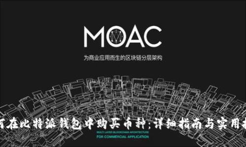 如何在比特派钱包中购买币种：详细指南与实用技巧