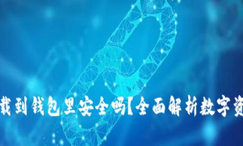 比特币下载到钱包里安全吗？全面解析数字资产安全性