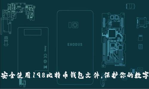 如何安全使用198比特币钱包文件，保护你的数字资产