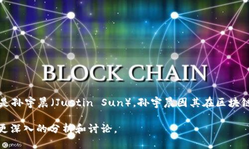 波场（Tron）是一种基于区块链技术的去中心化平台，旨在构建全球数字内容的自由共享环境。波场的创始人及CEO是孙宇晨（Justin Sun）。孙宇晨因其在区块链领域的创新和宣传而备受关注。他曾在2017年创立波场，并迅速将其打造成一个在区块链行业具有影响力的平台。

如果你需要更详细的信息或者想了解波场的具体运营、发展历程、技术架构等方面的问题，请告诉我，我会为你提供更深入的分析和讨论。