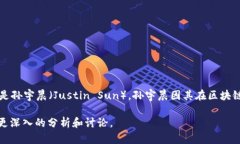 波场（Tron）是一种基于区