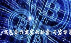 独家揭秘EBPay钱包合作商家的秘密：专家分享最佳