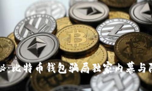 专家揭秘：比特币钱包骗局独家内幕与防范秘诀