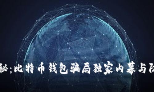 专家揭秘：比特币钱包骗局独家内幕与防范秘诀