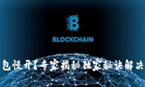 比特币钱包慢开？专家揭秘独家秘诀解决你的烦恼