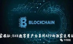 专家揭秘：BHE数字资产交