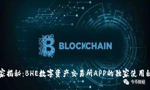 专家揭秘：BHE数字资产交易所APP的独家使用秘诀