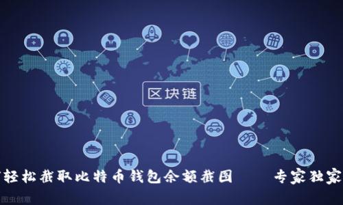 如何轻松截取比特币钱包余额截图——专家独家秘诀