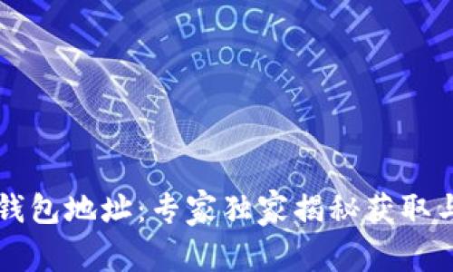 以太坊轻钱包地址：专家独家揭秘获取与管理秘诀