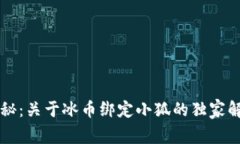 专家揭秘：关于冰币绑定
