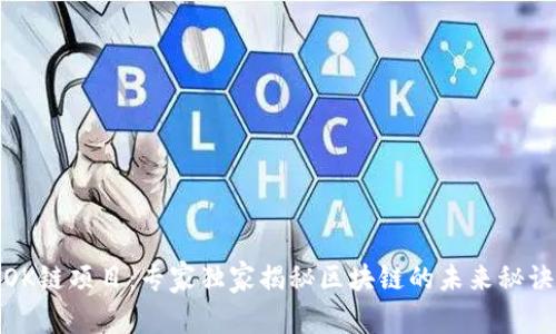 OK链项目：专家独家揭秘区块链的未来秘诀