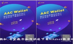 独家揭秘：专家教你如何