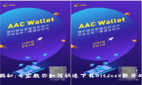 独家揭秘：专家教你如何快速下载Bitdock软件的秘诀