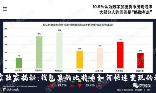 专家独家揭秘：钱包里的比特币如何快速变现的秘诀